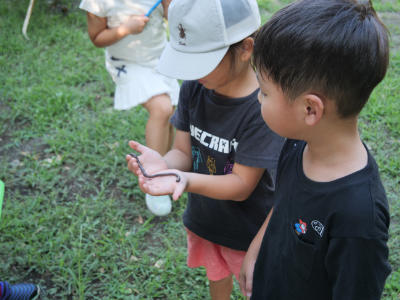 P1007583.JPG