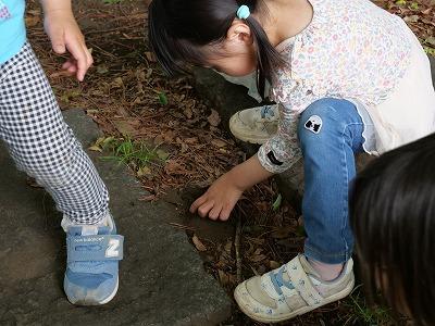 P1007208.jpg