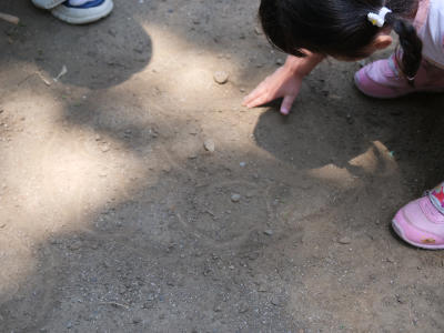 P1008426.JPG